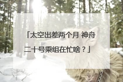 太空出差两个月 神舟二十号乘组在忙啥？