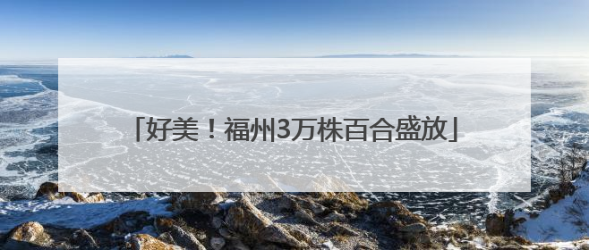 好美！福州3万株百合盛放