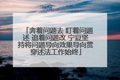 奔着问题去 盯着问题述 追着问题改 宁夏坚持将问题导向效果导向贯穿述法工作始终