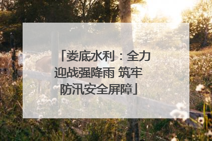 娄底水利：全力迎战强降雨 筑牢防汛安全屏障