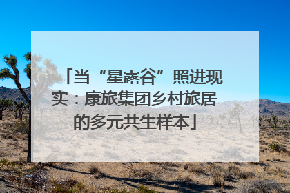 当“星露谷”照进现实：康旅集团乡村旅居的多元共生样本