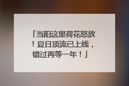 当阳这里荷花怒放！夏日顶流已上线，错过再等一年！