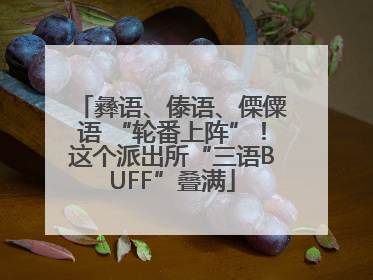 彝语、傣语、傈僳语 “轮番上阵”！这个派出所“三语BUFF”叠满