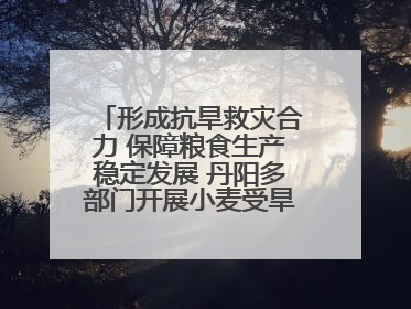 形成抗旱救灾合力 保障粮食生产稳定发展 丹阳多部门开展小麦受旱情况调研