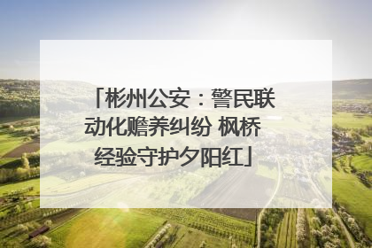 彬州公安：警民联动化赡养纠纷 枫桥经验守护夕阳红