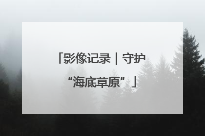 影像记录｜守护“海底草原”