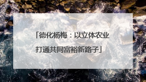 德化杨梅：以立体农业打通共同富裕新路子