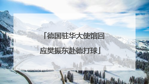 德国驻华大使馆回应樊振东赴德打球