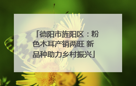 德阳市旌阳区：粉色木耳产销两旺 新品种助力乡村振兴