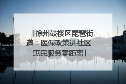 徐州鼓楼区琵琶街道：医保政策进社区 惠民服务零距离