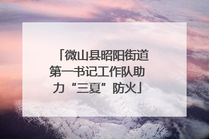 微山县昭阳街道第一书记工作队助力“三夏”防火