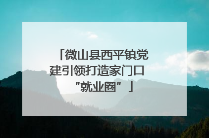 微山县西平镇党建引领打造家门口“就业圈”