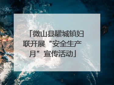 微山县驩城镇妇联开展“安全生产月”宣传活动