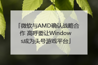 微软与AMD确认战略合作 高呼要让Windows成为头号游戏平台