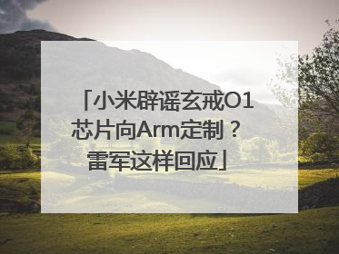 小米辟谣玄戒O1芯片向Arm定制？雷军这样回应