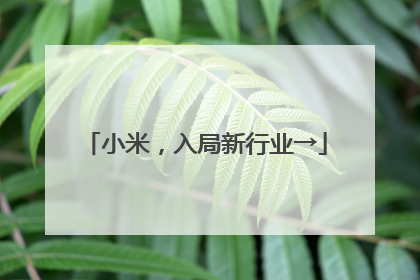 小米，入局新行业→