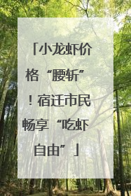 小龙虾价格“腰斩”！宿迁市民畅享“吃虾自由”