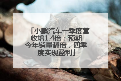 小鹏汽车一季度营收增1.4倍：预期今年销量翻倍，四季度实现盈利