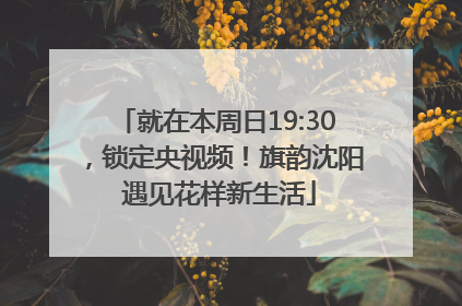 就在本周日19:30，锁定央视频！旗韵沈阳 遇见花样新生活