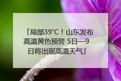 局部39℃！山东发布高温黄色预警 5日—9日将出现高温天气