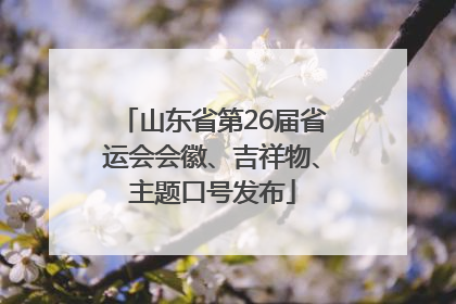山东省第26届省运会会徽、吉祥物、主题口号发布
