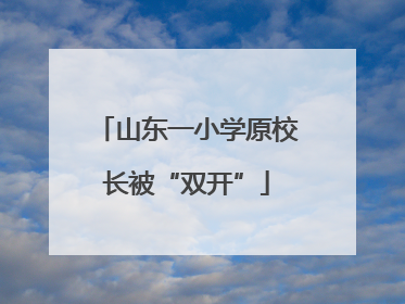 山东一小学原校长被“双开”
