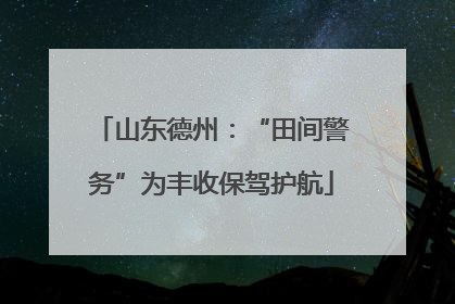 山东德州：“田间警务”为丰收保驾护航