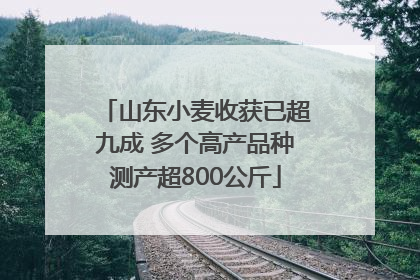 山东小麦收获已超九成 多个高产品种测产超800公斤