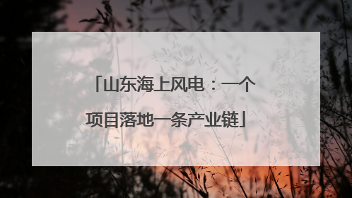 山东海上风电：一个项目落地一条产业链