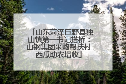 山东菏泽巨野县独山镇第一书记搭桥：山钢集团采购帮扶村西瓜助农增收