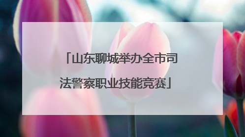 山东聊城举办全市司法警察职业技能竞赛