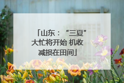 山东：“三夏”大忙将开始 机收减损在田间