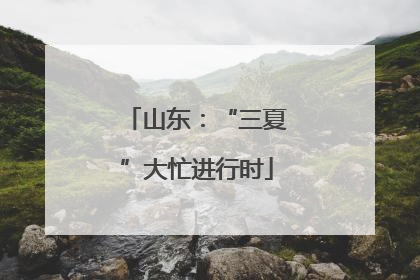 山东：“三夏”大忙进行时