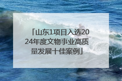 山东1项目入选2024年度文物事业高质量发展十佳案例