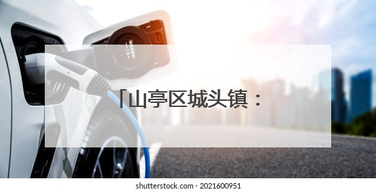 山亭区城头镇：以花为笺，致敬最美“她力量”
