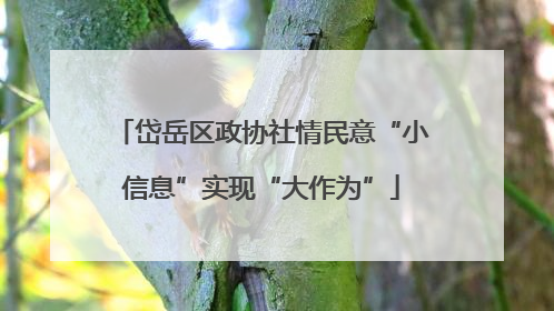 岱岳区政协社情民意“小信息”实现“大作为”