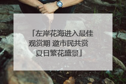 左岸花海进入最佳观赏期 邀市民共赏夏日繁花盛景