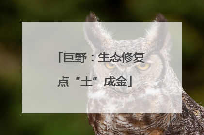 巨野：生态修复点“土”成金