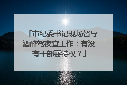 市纪委书记现场督导酒醉驾夜查工作：有没有干部耍特权？