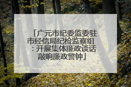 广元市纪委监委驻市经信局纪检监察组：开展集体廉政谈话 敲响廉政警钟