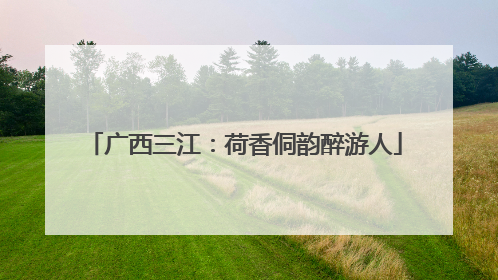 广西三江：荷香侗韵醉游人