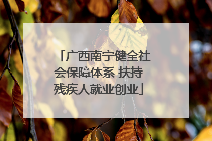 广西南宁健全社会保障体系 扶持残疾人就业创业
