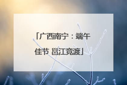 广西南宁：端午佳节 邕江竞渡