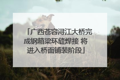 广西苍容浔江大桥完成钢箱梁环缝焊接 将进入桥面铺装阶段