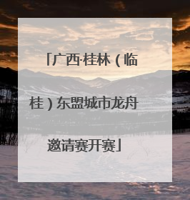 广西·桂林（临桂）东盟城市龙舟邀请赛开赛