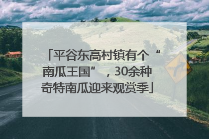 平谷东高村镇有个“南瓜王国”，30余种奇特南瓜迎来观赏季