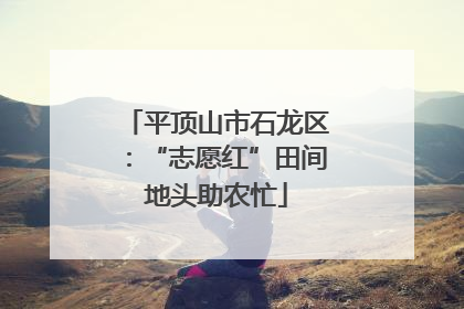平顶山市石龙区：“志愿红”田间地头助农忙