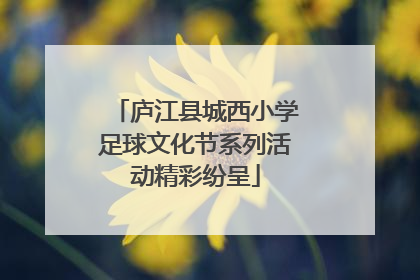 庐江县城西小学足球文化节系列活动精彩纷呈