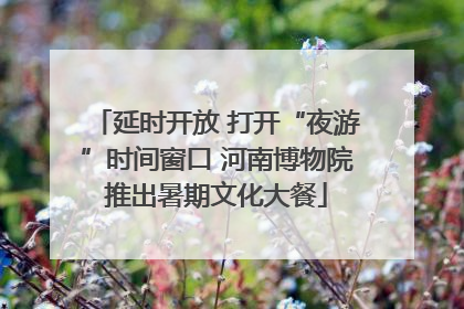 延时开放 打开“夜游”时间窗口 河南博物院推出暑期文化大餐