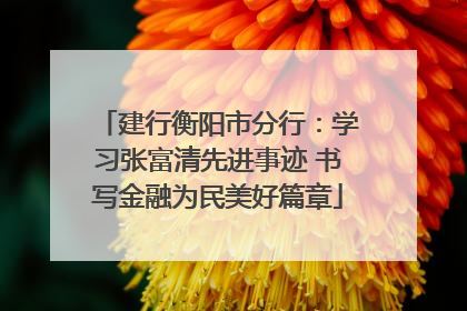 建行衡阳市分行：学习张富清先进事迹 书写金融为民美好篇章